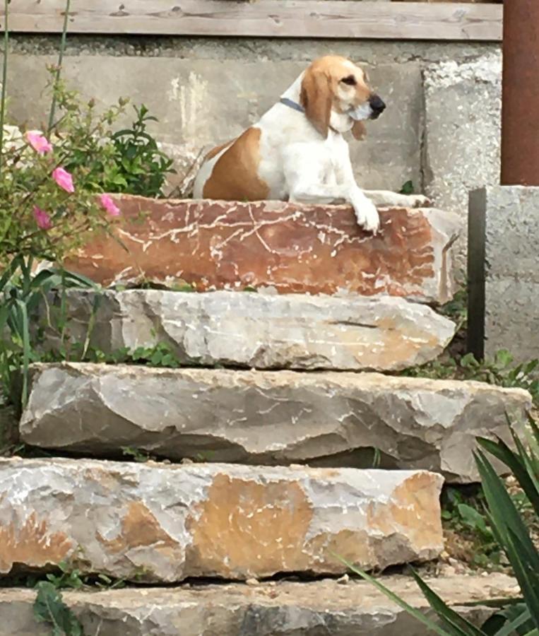 B&B Chez Odile Mirabel  エクステリア 写真